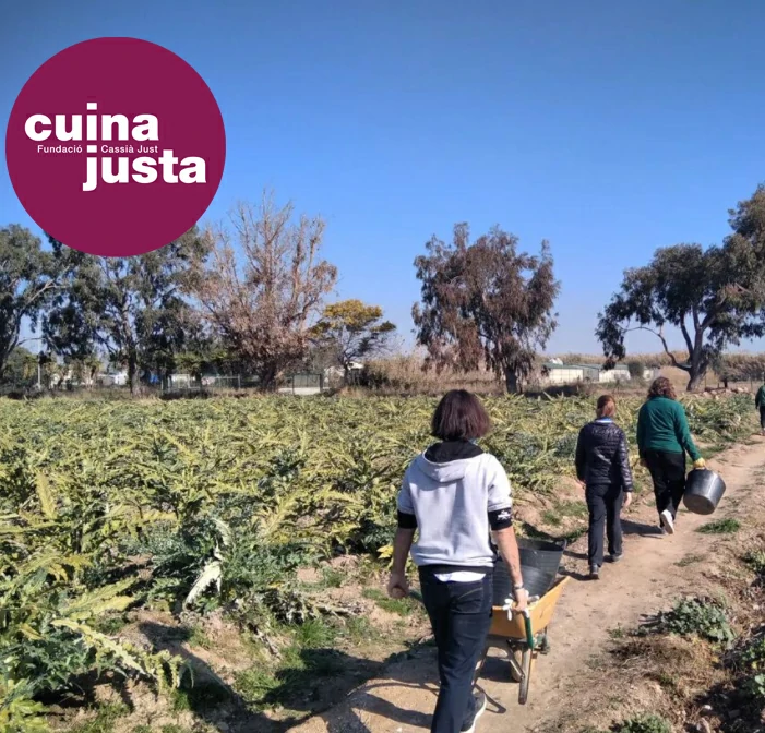 Tres mujeres trabajando en el campo de alcachofas de Cuina Justa en El Prat de Llobregat